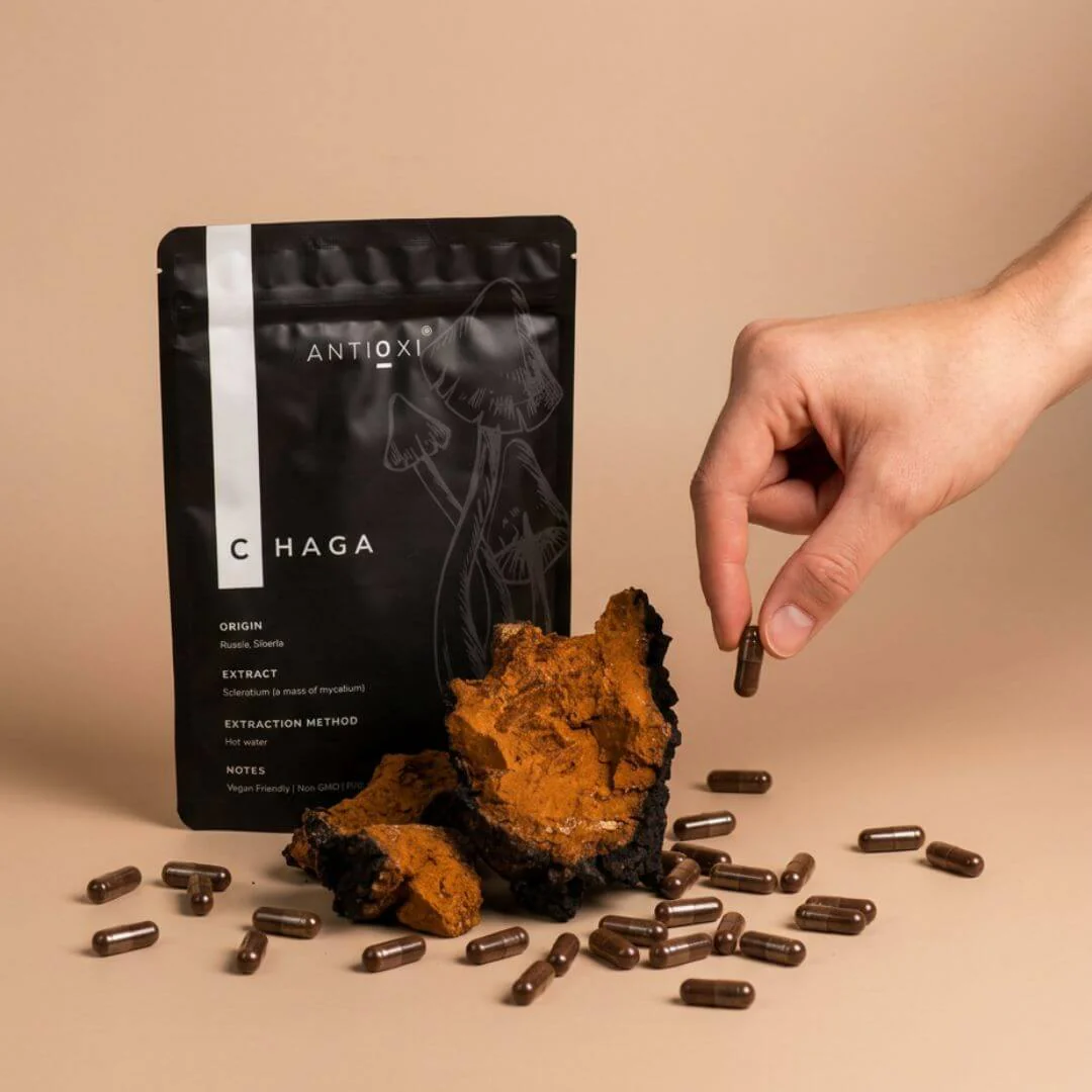 Chaga